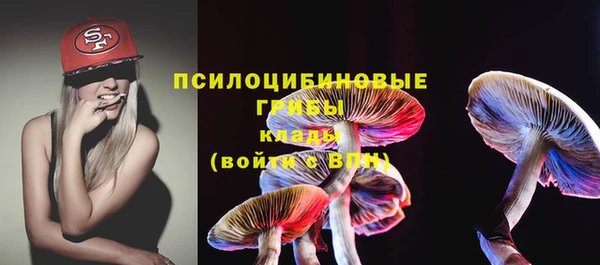 PSILOCYBIN Баксан