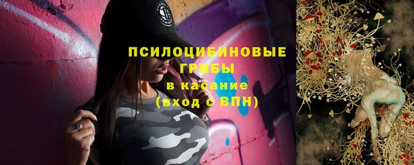 PSILOCYBIN Баксан