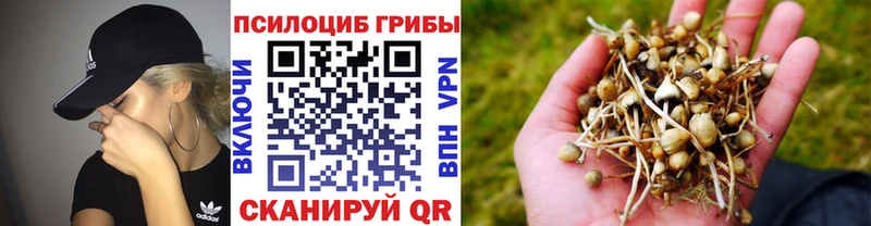 Псилоцибиновые грибы GOLDEN TEACHER Усть-Лабинск